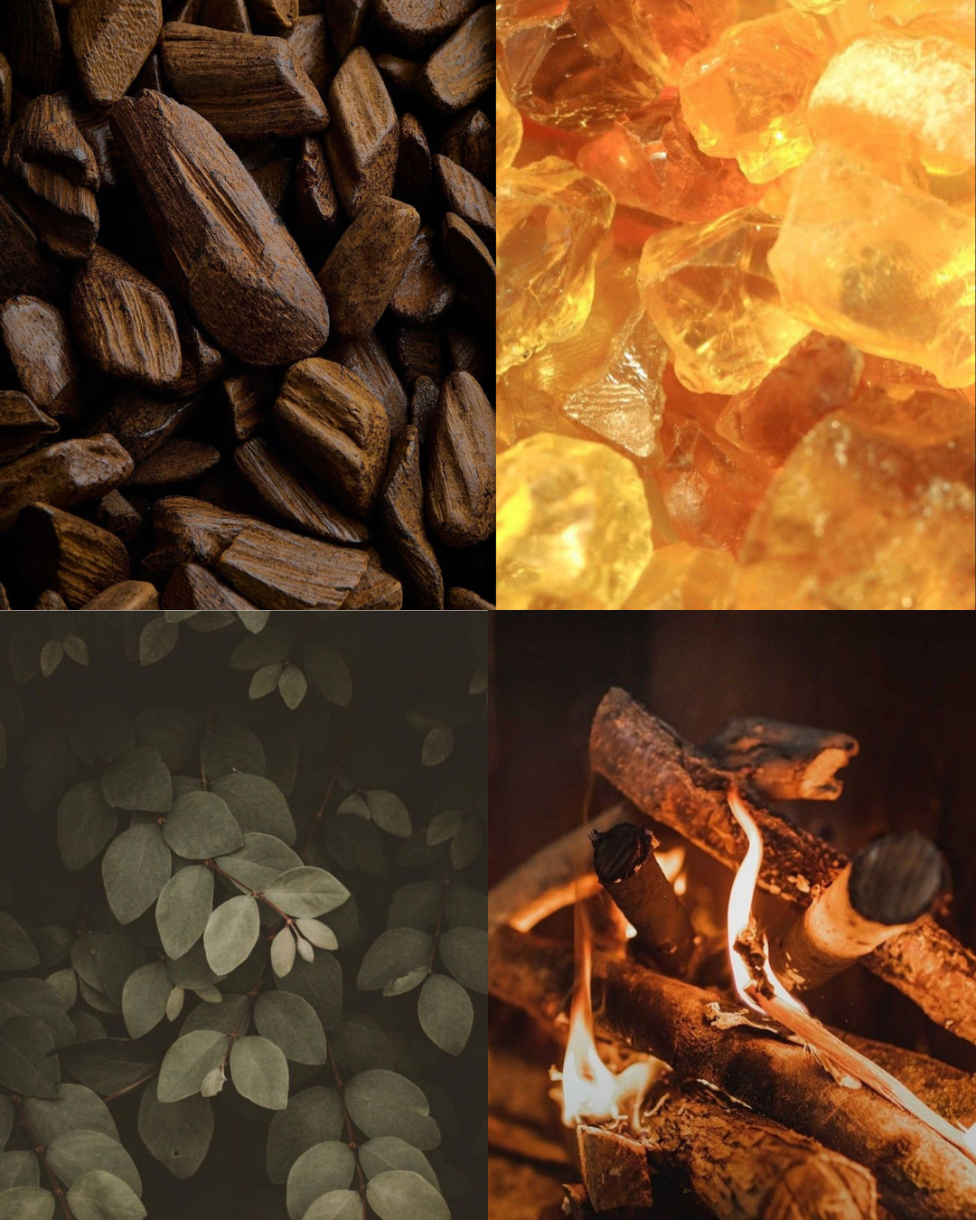 Fragrance atmosphere